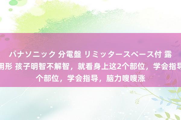 パナソニック 分電盤 リミッタースペース付 露出・半埋込両用形 孩子明智不解智，就看身上这2个部位，学会指导，脑力嗖嗖涨