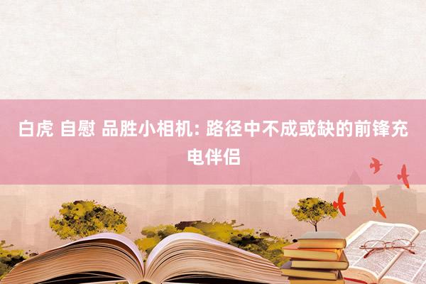 白虎 自慰 品胜小相机: 路径中不成或缺的前锋充电伴侣