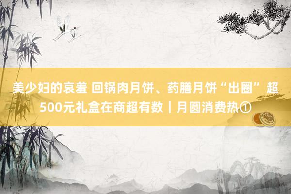美少妇的哀羞 回锅肉月饼、药膳月饼“出圈” 超500元礼盒在商超有数｜月圆消费热①