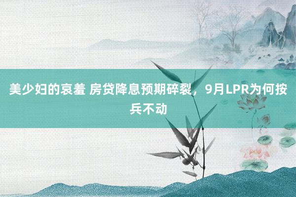 美少妇的哀羞 房贷降息预期碎裂，9月LPR为何按兵不动