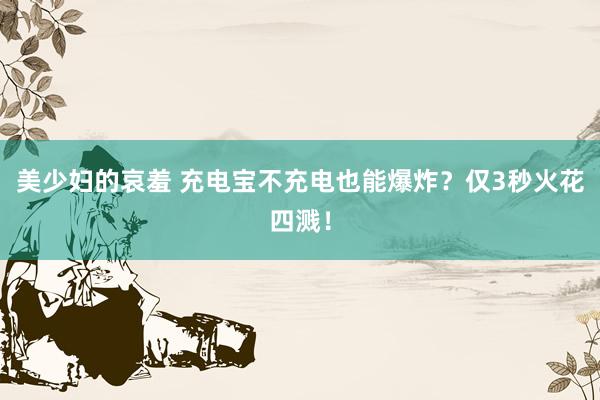 美少妇的哀羞 充电宝不充电也能爆炸？仅3秒火花四溅！