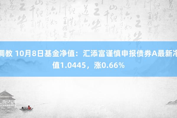 调教 10月8日基金净值：汇添富谨慎申报债券A最新净值1.0445，涨0.66%