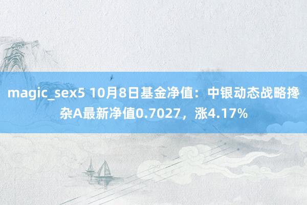 magic_sex5 10月8日基金净值：中银动态战略搀杂A最新净值0.7027，涨4.17%