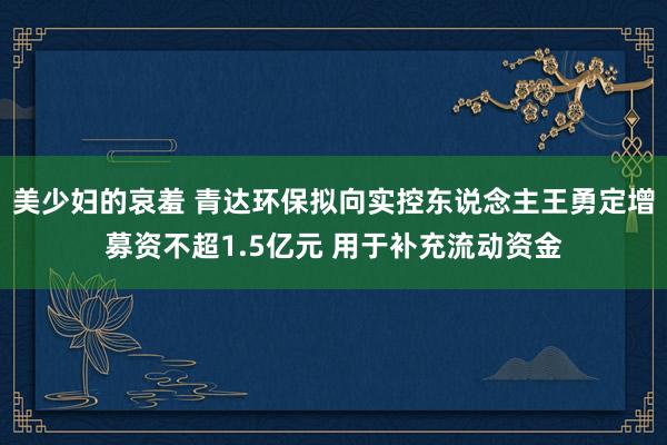 美少妇的哀羞 青达环保拟向实控东说念主王勇定增募资不超1.5亿元 用于补充流动资金