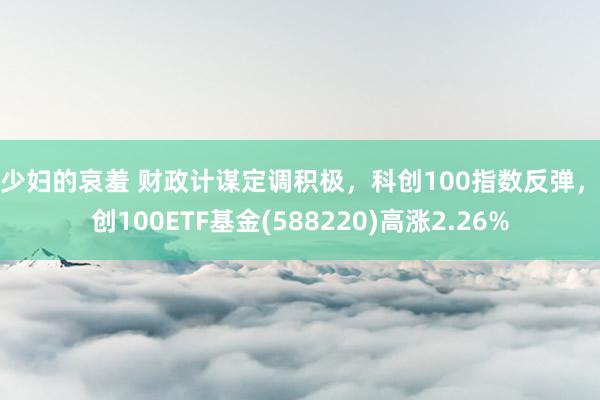 美少妇的哀羞 财政计谋定调积极，科创100指数反弹，科创100ETF基金(588220)高涨2.26%