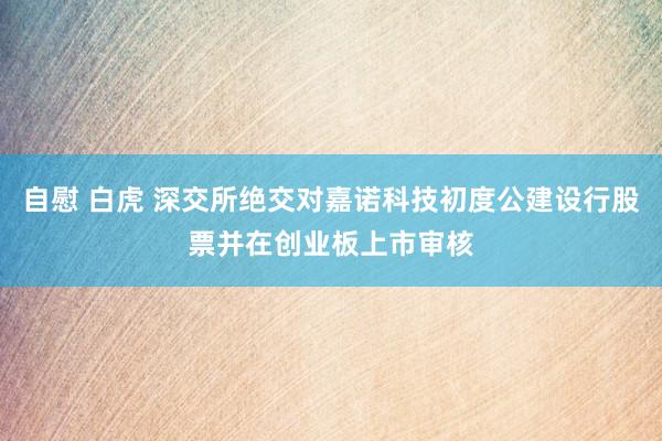 自慰 白虎 深交所绝交对嘉诺科技初度公建设行股票并在创业板上市审核