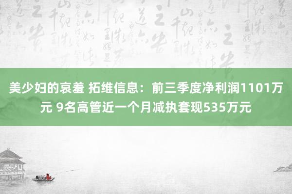 美少妇的哀羞 拓维信息：前三季度净利润1101万元 9名高管近一个月减执套现535万元
