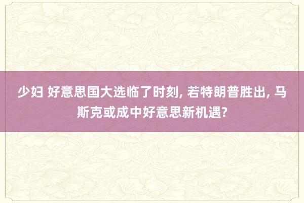少妇 好意思国大选临了时刻， 若特朗普胜出， 马斯克或成中好意思新机遇?