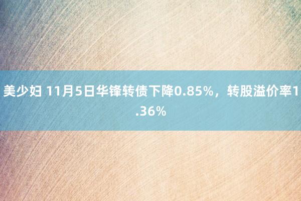 美少妇 11月5日华锋转债下降0.85%，转股溢价率1.36%