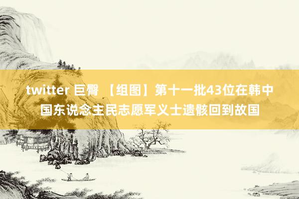 twitter 巨臀 【组图】第十一批43位在韩中国东说念主民志愿军义士遗骸回到故国