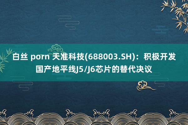 白丝 porn 天准科技(688003.SH)：积极开发国产地平线J5/J6芯片的替代决议