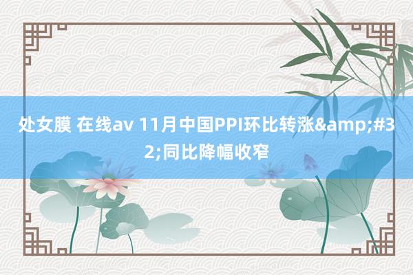 处女膜 在线av 11月中国PPI环比转涨&#32;同比降幅收窄