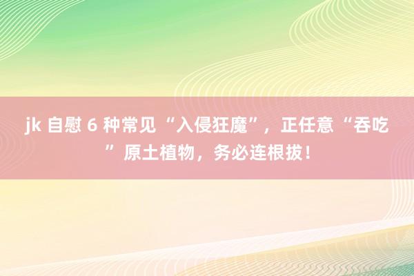 jk 自慰 6 种常见 “入侵狂魔”，正任意 “吞吃” 原土植物，务必连根拔！