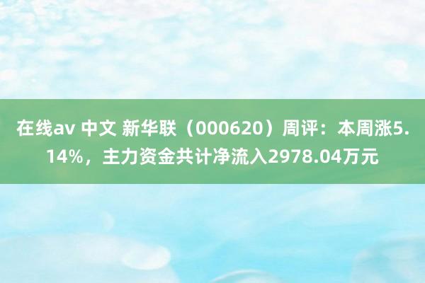 在线av 中文 新华联（000620）周评：本周涨5.14%，主力资金共计净流入2978.04万元