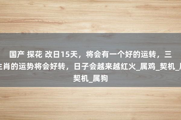 国产 探花 改日15天，将会有一个好的运转，三大生肖的运势将会好转，日子会越来越红火_属鸡_契机_属狗