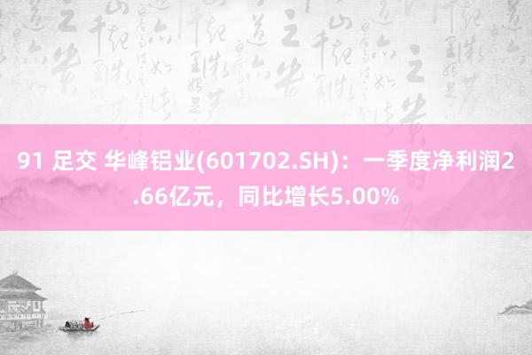 91 足交 华峰铝业(601702.SH)：一季度净利润2.66亿元，同比增长5.00%
