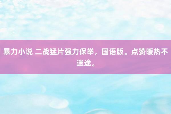 暴力小说 二战猛片强力保举，国语版。点赞暖热不迷途。